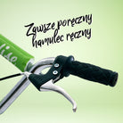 Apollo - Retro hulajnoga Paradise z oponami pneumatycznymi 12,5 cala - Zielony