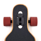 Apollo - Longboard "Bali Wood Twin Tip DT" - 39" w zestawie z T-Tool - Bali Wood